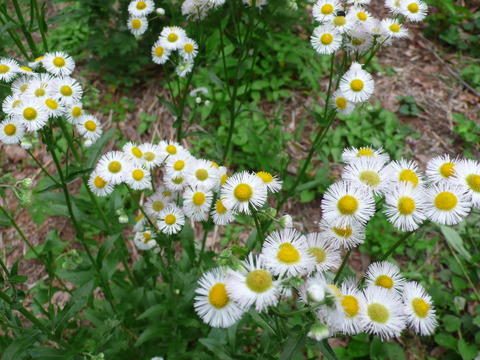 P1170148