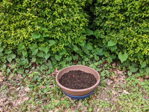 PXL_20220527_073403400