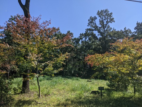 PXL_20211008_023044966