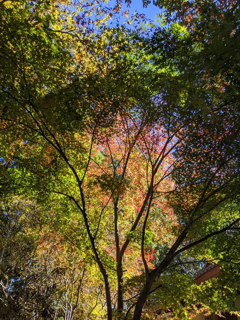 PXL_20211029_024133867