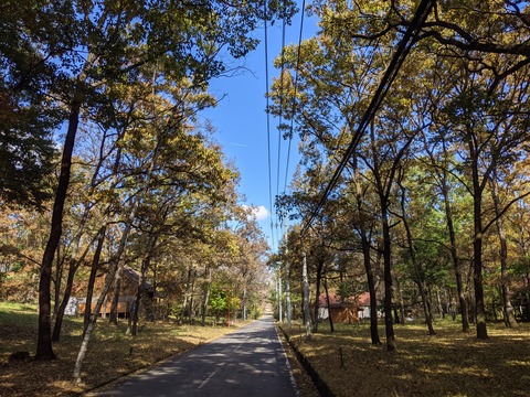 PXL_20211105_023500533