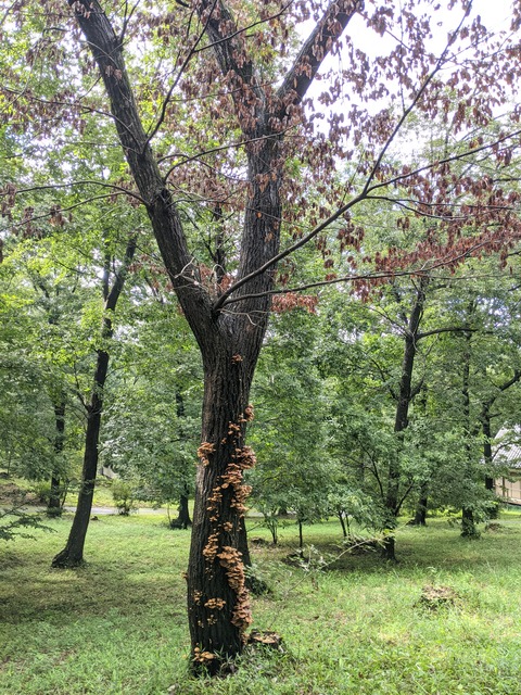 PXL_20210906_060641105