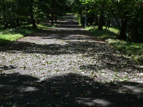 P1190005