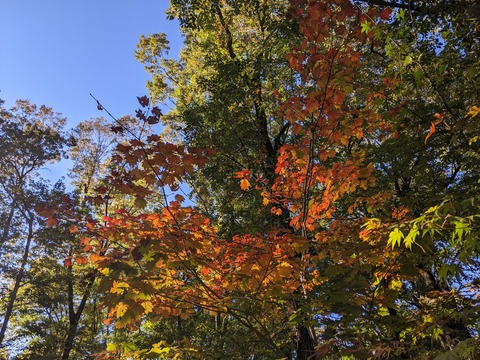 PXL_20211111_053051294
