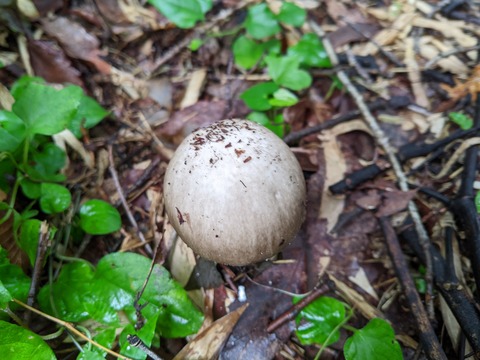 PXL_20220805_032011684