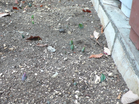P1160234