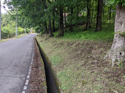 PXL_20220603_013536192