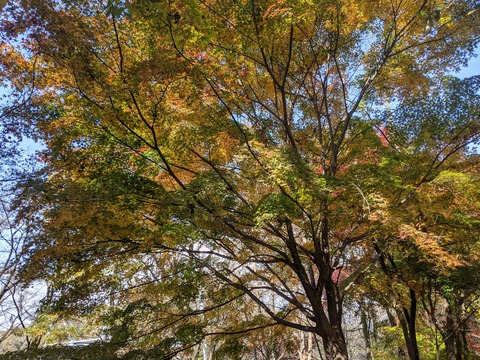 PXL_20211116_014108430