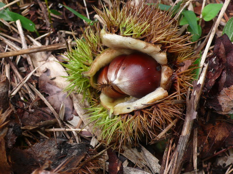 P1150638