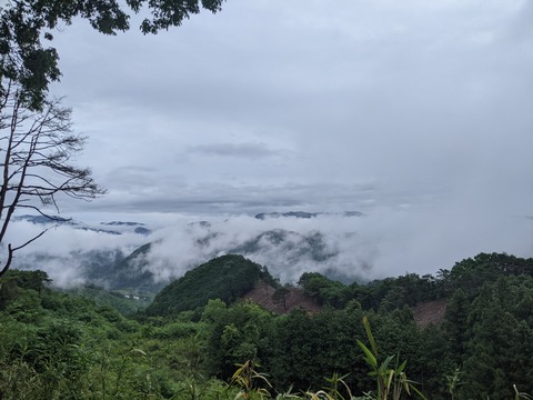 6C5902C8-33C7-429F-A555-12DC23248AA6