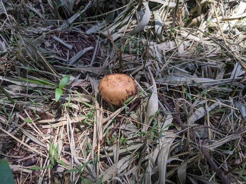 PXL_20220723_022644186