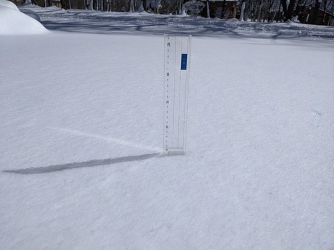 PXL_20220218_013234483