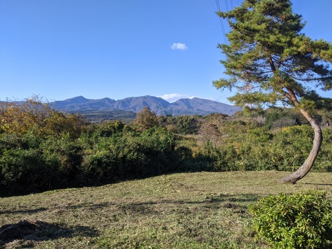 PXL_20211111_052229915