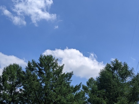 7BE0D145-692A-4574-BFAE-CC0F5590B1D8