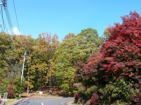 P1170560