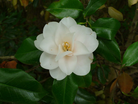P1170141