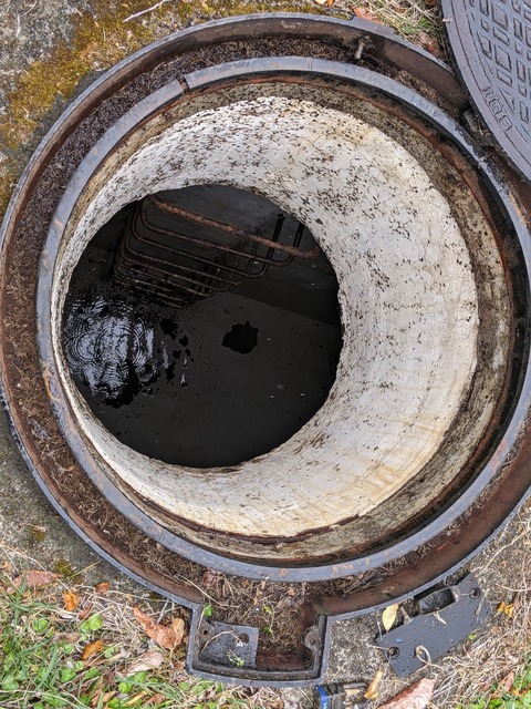 PXL_20220418_013549443