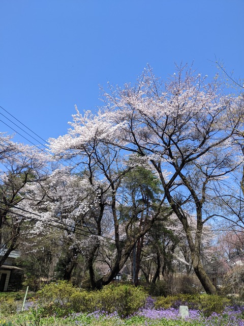 PXL_20220408_025208000