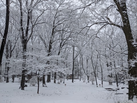 PXL_20220210_011416234