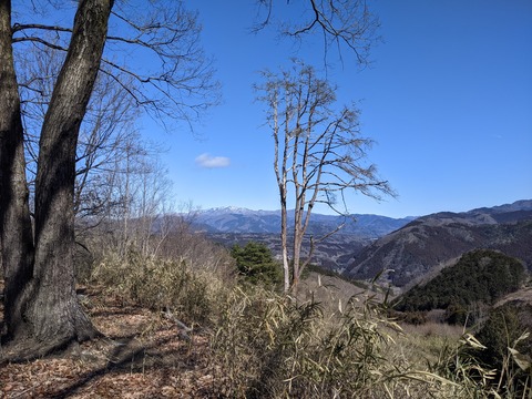 PXL_20210219_025359575