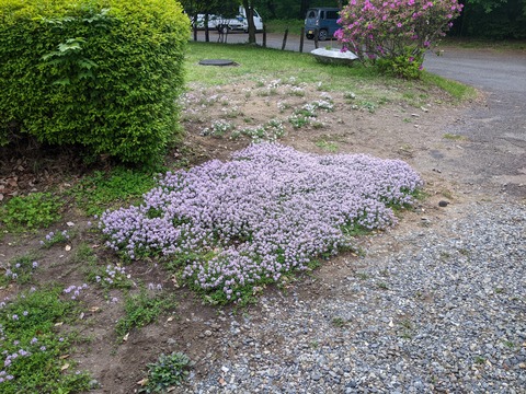 PXL_20220512_060747251