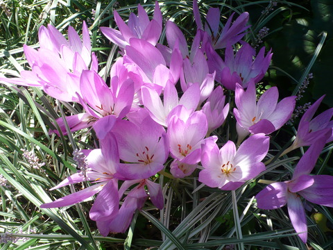 P1150639