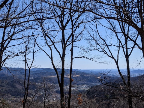 PXL_20210219_021843952