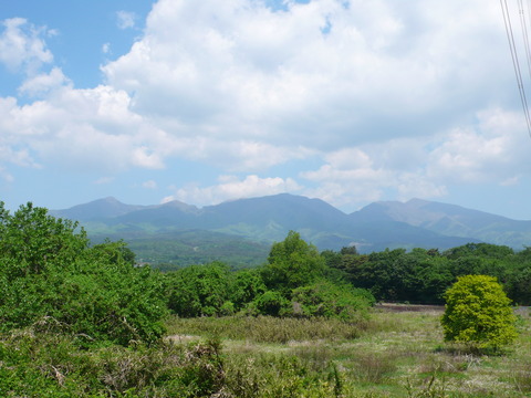 P1180246