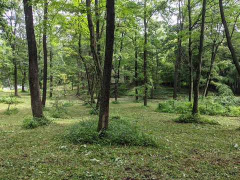 PXL_20210729_004949810