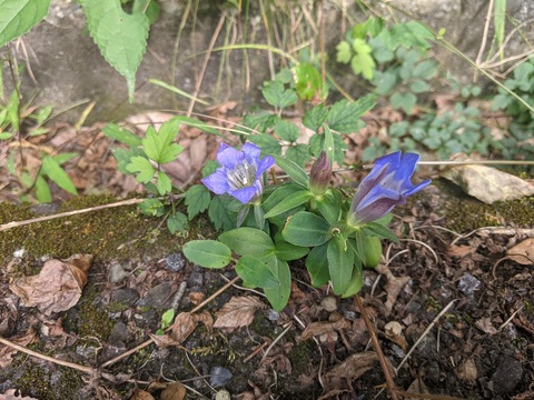 PXL_20211005_030939055