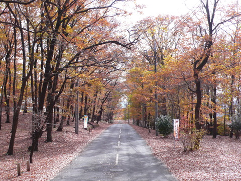 2019.12.06.1