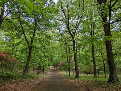 PXL_20220428_052245017