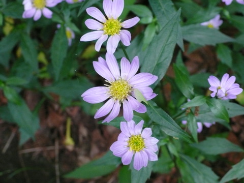 P1170139