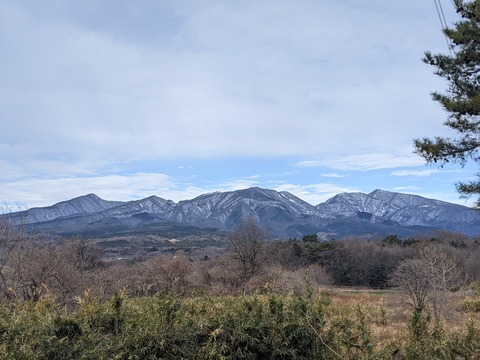 PXL_20220106_010442065