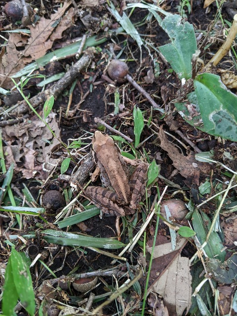 PXL_20220803_024444152