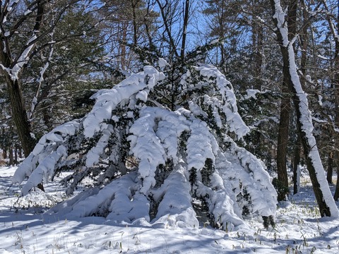 PXL_20220218_023110181