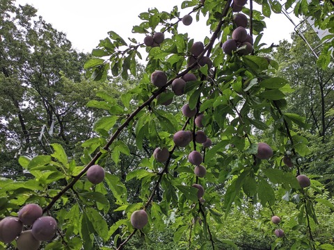 PXL_20220805_024220508