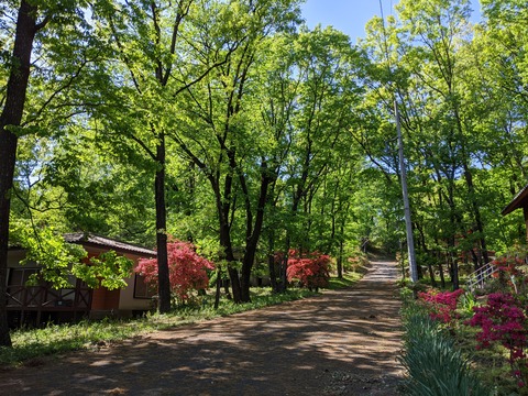 2020.05.08.02
