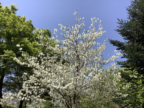 E5DCE54E-9375-49C1-905B-03421C732C66