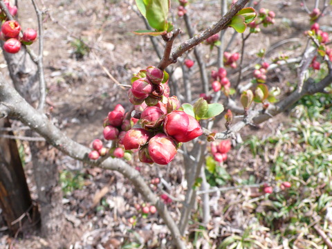 P1170970