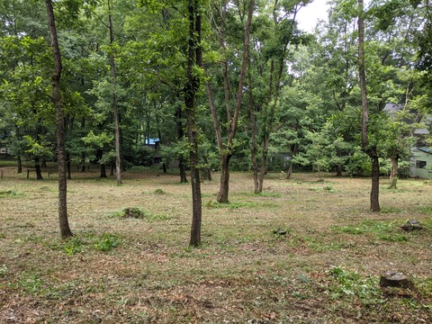 PXL_20210729_005649536