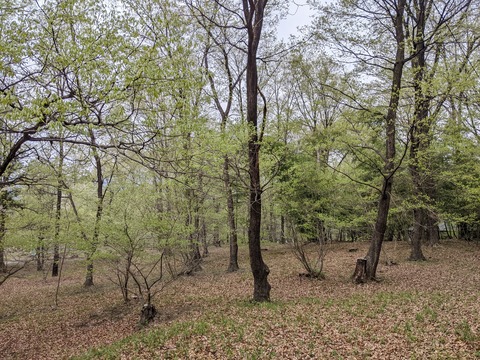 PXL_20220421_032514894