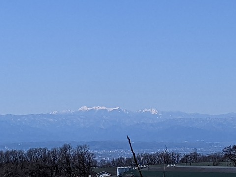 PXL_20220225_015903589