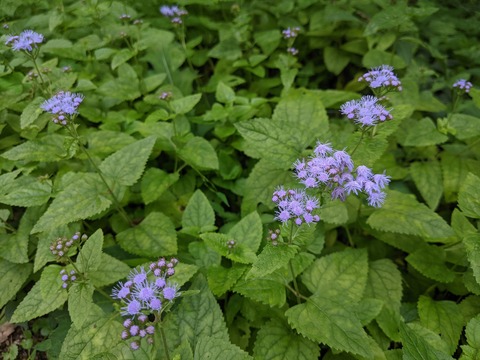 PXL_20210910_022035999