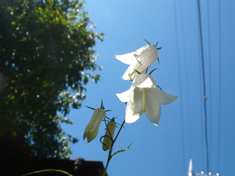 P1150650