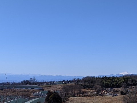 PXL_20210219_031503301