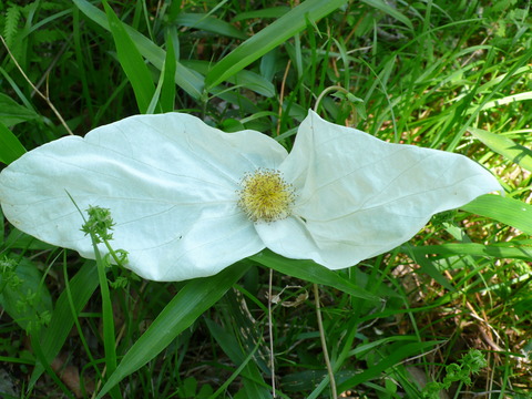 P1180160