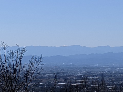 PXL_20210219_023907511