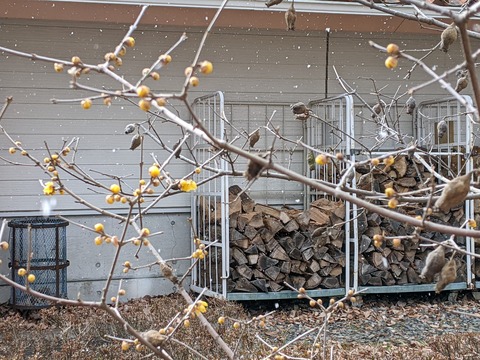 PXL_20220121_043744490