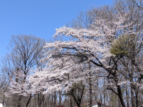 PXL_20220408_025855669